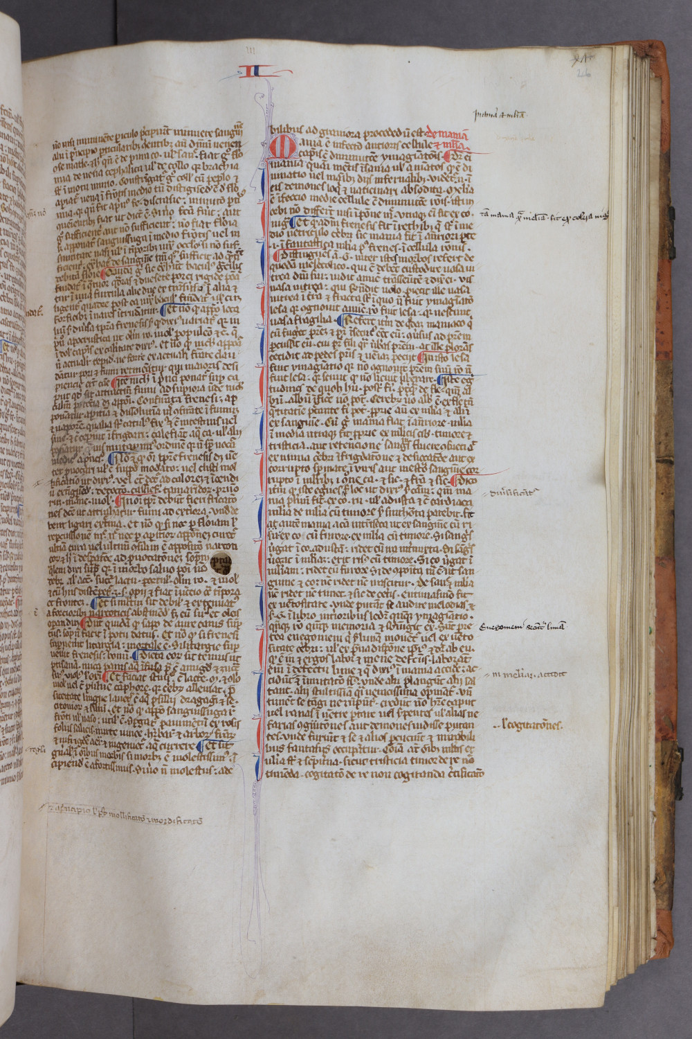 Folio 46 recto